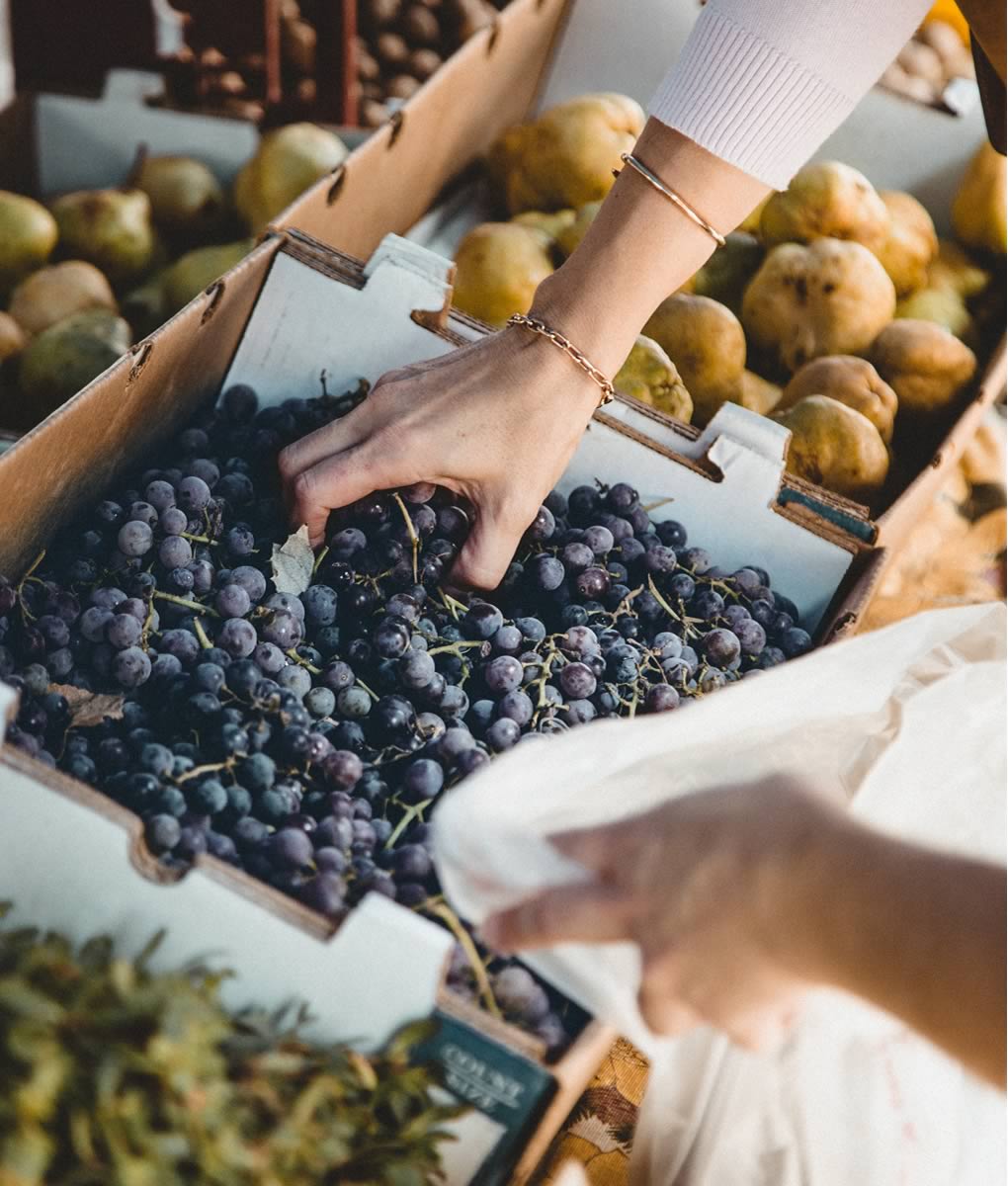 SEO and storytelling for Canada’s greenest marketing agency